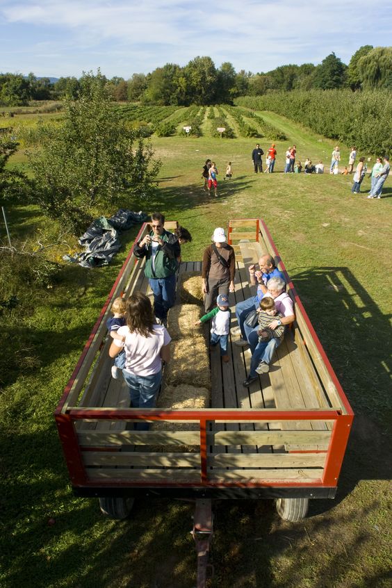 Hayride Ticket