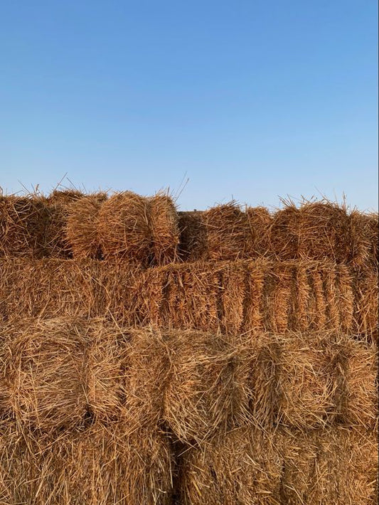 Straw bails