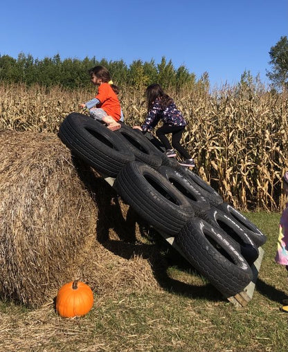 Moon Bounce and Obstacle Coarse Combo