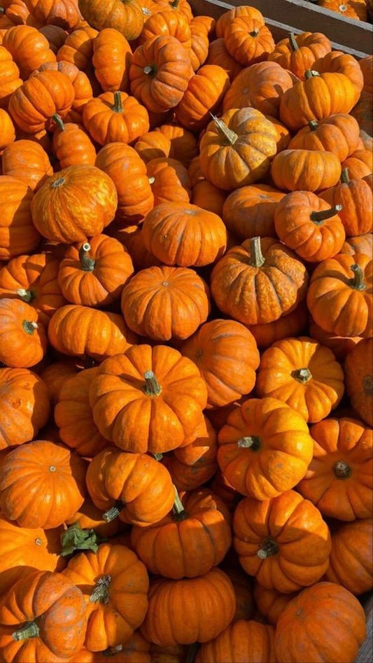 Pumpkins