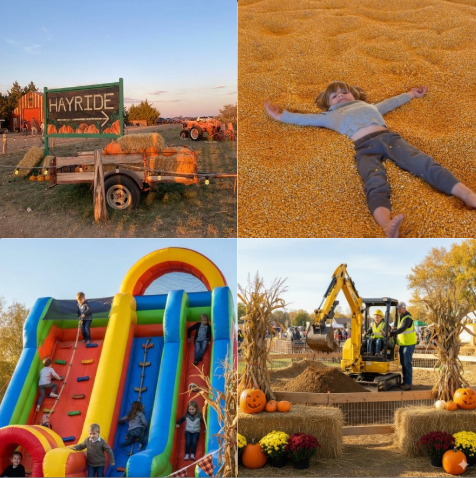 Wristband (Hayride + Excavator Experience + Corn Pit + Inflatables)